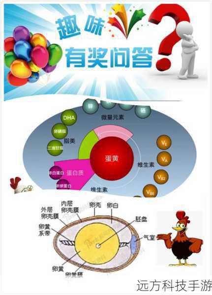 问答环节：