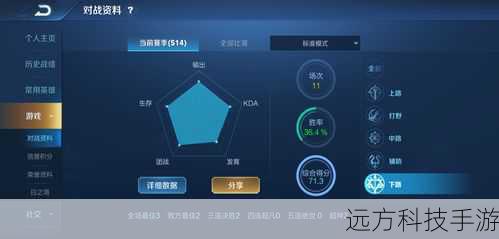 团战策略与个人表现