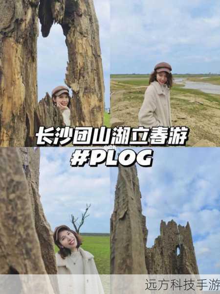 景点特色搭配