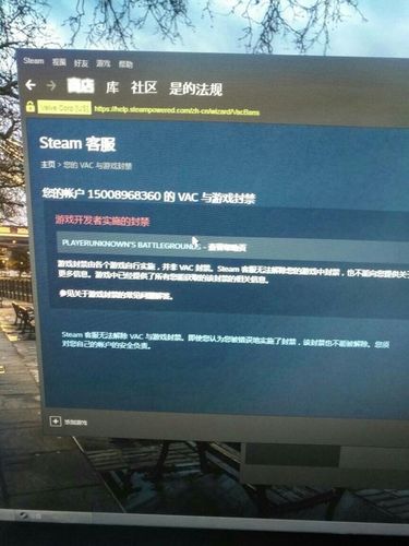 3、检查账号状态:确保账号没有被禁用或锁定,查看Steam消息中心是否有任何关于账号状态的通知。