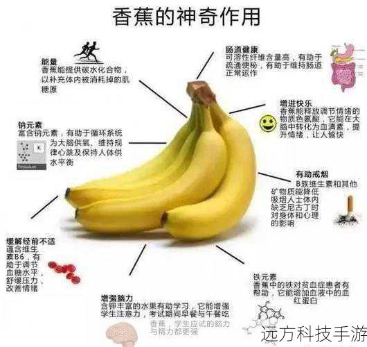 除了惊人的速度，Thunderbolt还以其强大的兼容性著称，它支持多种类型的设备连接，包括但不限于外部硬盘、显示器、音频设备、显卡扩展坞等，这种广泛的兼容性使得Thunderbolt成为了许多专业用户和创意工作者的首选，无论是摄影师需要快速导入大量照片，还是视频编辑师需要实时渲染高清视频，Thunderbolt都能提供稳定、高效的数据传输支持。