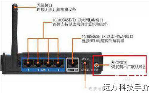 - 网线（用于连接路由器和电脑）
