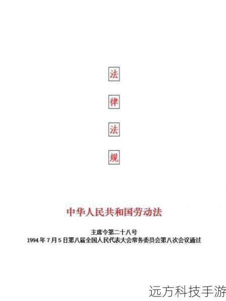 法律与政策：请确保您的操作符合所在地区的法律法规，特别是关于软件和硬件修改的规定。