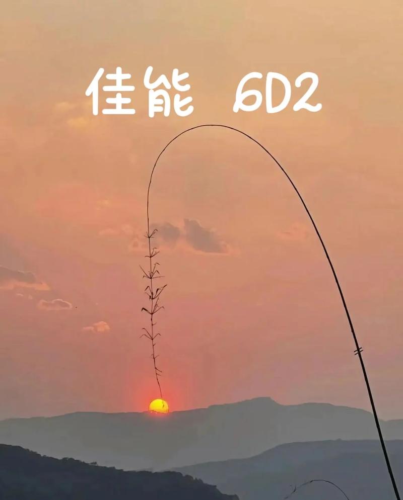 我们来看看佳能EOS 6D Mark II的当前价格情况，根据市场反馈和各大电商平台的实时数据，佳能EOS 6D Mark II的价格在不同渠道和促销活动下会有所波动，其单机身的价格在8000元至12000元之间，具体价格还需根据购买时间、渠道以及是否有促销活动等因素来确定，值得注意的是，随着新品的不断推出和市场竞争的加剧，佳能EOS 6D Mark II的价格也可能会出现一定的调整。