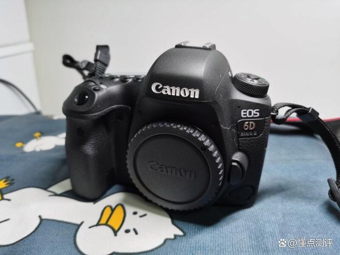 答：佳能EOS 6D Mark II的价格在不同时间段和销售渠道下会有所波动，在新品发布初期或节假日等促销活动期间，价格可能会有所下降，其价格相对稳定，不会出现大幅度的涨跌。