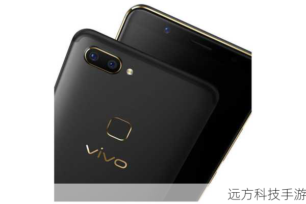 作为一款旗舰级手机,vivo X20黑金旗舰版自然少不了全面屏的加持,它配备了一块6.01英寸的18:9全面屏,采用Super AMOLED屏幕材质,不仅色彩鲜艳、对比度高,还拥有更广的可视角度和出色的显示效果,无论是观看高清视频、浏览网页还是玩游戏,都能带来更加震撼的视觉享受,全面屏的设计不仅让手机看起来更加时尚大气,也极大地提升了屏占比,让用户在享受视觉盛宴的同时,也能感受到更加沉浸式的体验。