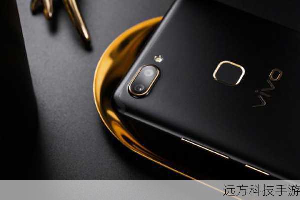在拍照方面,vivo X20黑金旗舰版同样不容小觑,它采用了后置双摄像头设计,主摄像头为1200万像素+500万像素的组合,支持全像素双核对焦技术,能够快速捕捉清晰、细腻的画面,前置摄像头也达到了2400万像素(感光单元为2×1200万像素),配合vivo的美颜算法和自拍模式,让你轻松拍出自然、美丽的自拍照片,无论是风景、人像还是夜景拍摄,vivo X20黑金旗舰版都能让你轻松记录生活中的每一个美好瞬间。