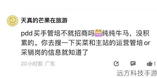 第二招:检查服务状态