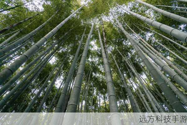 诺基亚950配备了一块4.8英寸的PureMotion HD+屏幕,分辨率达到了1280×768,像素密度高达311ppi,这块屏幕不仅色彩鲜艳、对比度高,而且显示效果细腻,无论是观看视频还是浏览图片,都能带来极佳的视觉体验。