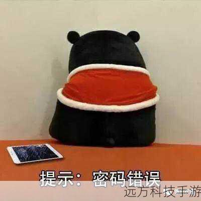密码:987654