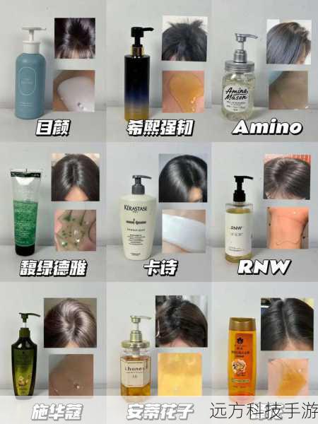 评测总结: