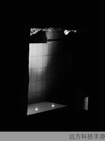 在《Homeless》的世界里,玩家将置身于一个充满诡异和神秘的环境中,黑暗的角落、阴森的走廊、离奇的音效,无不营造出令人毛骨悚然的氛围,游戏以其独特的视觉效果和紧张的剧情,让玩家仿佛真的成为了那个在恐怖世界中迷失的无家可归者。