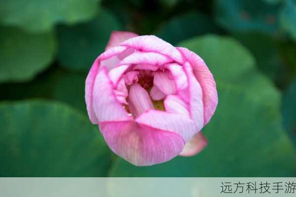 Q2:佳能SX130的画质表现如何?适合拍摄哪些类型的照片?