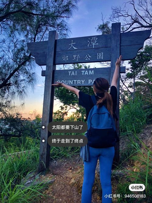 问题三:如何面对岛屿上的挑战?