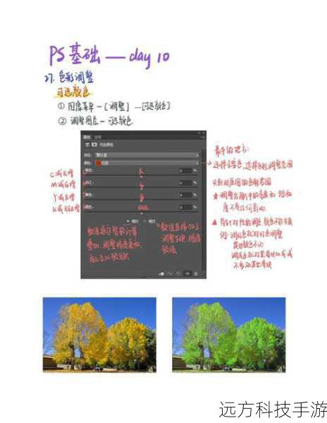 回答:对于初学者,可以从以下几个步骤开始:
