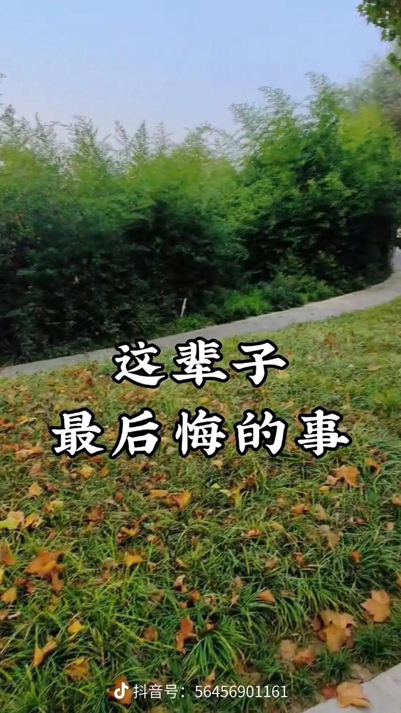 回到最初的问题，“我们还能称自己为‘人’吗”，答案并不是简单的是或否，这取决于我们如何看待和定义“人”的概念，以及机器人的发展程度和对我们生活的影响，无论如何，我们都应该保持开放的心态和积极的态度，迎接科技发展带来的机遇和挑战，我们要不断探索和思考人类的本质和未来，同时也要关注机器人技术的发展动态，以便更好地适应这个不断变化的世界。