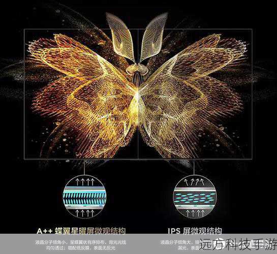 画质卓越,细节尽显