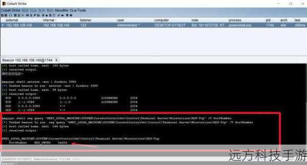 示例:reg query