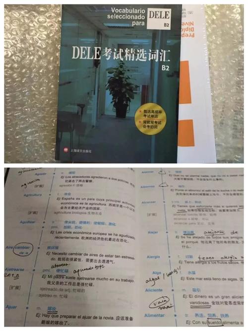 2、MagicKey是否支持多语言界面?