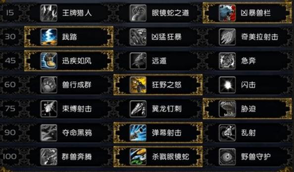 2、如何在团队副本中发挥兽王猎人的最大价值?
