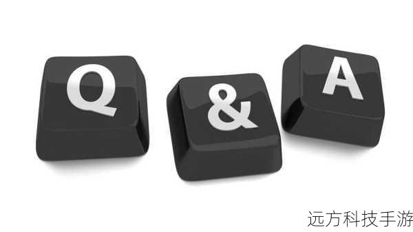 Q&A