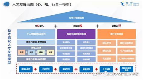 问题3:如何优化队伍配置?