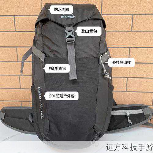 背包问题可以简单理解为,在给定一组物品(每个物品都有重量和价值),以及一个背包最大允许的总重量的情况下,如何选择物品放入背包中,使得最终放入的物品价值最大化,这个问题的变种多样,如0/1背包问题、完全背包问题等,每种类型都对算法设计提出了不同的挑战。