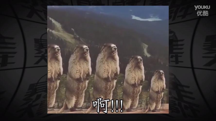 答:要时刻保持警惕,观察熊的行为,避免激怒它们,确保自己具备足够的技能和装备来应对可能的危险。