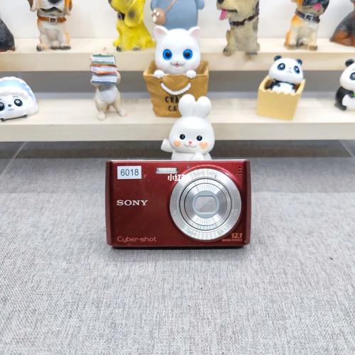 索尼W510的便携性非常出色，它的小巧机身设计可以轻松放入口袋或挂在脖子上，不会给出行带来任何负担，无论是日常出行、旅行度假还是户外探险，你都可以随时随地携带它记录下精彩瞬间，其简洁易用的操作界面也让你在快速捕捉美好画面的同时享受摄影的乐趣。
