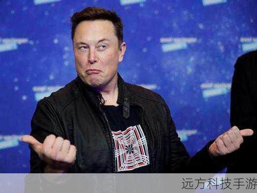问题 1：马斯克为什么会被指在该公司“垂帘听政”？