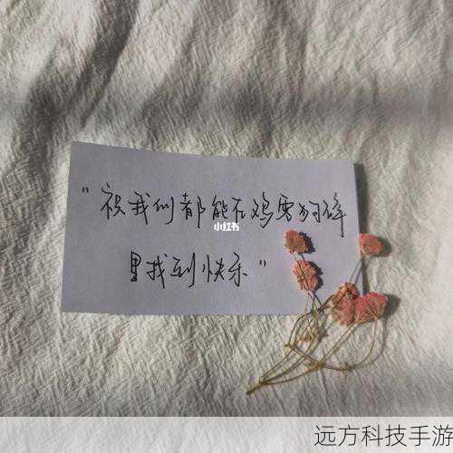 HDMI翔升GT210显卡劲爆降价，加赠精品钢笔，双重豪礼限时疯抢！