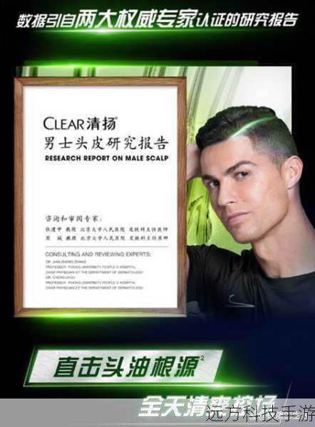 报价揭秘，性价比之选