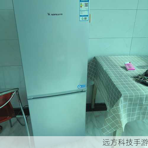 初见双鹿BCD-160CK,你可能会被它的小巧精致所吸引,作为一款双门冰箱,它总容积达到了151L,却能在有限的体积内实现高效的空间利用,冷藏室91L和冷冻室50L的分区设计,既满足了日常食材的保鲜需求,又避免了食物串味的问题,无论是忙碌的上班族还是温馨的小家庭,都能在这款冰箱中找到属于自己的储物空间。