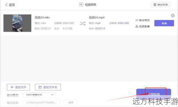 Q2：这款设备支持哪些视频格式？