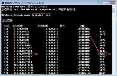 2、使用命令提示符查询版本号时,我得到的是什么信息?