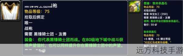 寻找日常任务：在特定区域（如奥丹姆）找到并完成日常任务是提高声望的最直接方式，这些任务通常包含杀怪、收集物品、对话等元素，完成它们不仅能获得经验，还能逐步提升与海象人的关系。