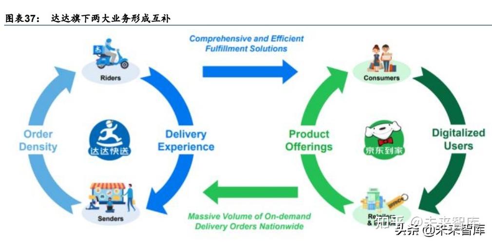 追随者多样性:尽量招募不同职业和技能类型的追随者,形成互补,增强队伍的灵活性和应对能力。