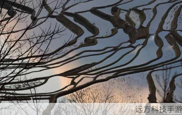 摄影功能:记录生活的每一个精彩瞬间