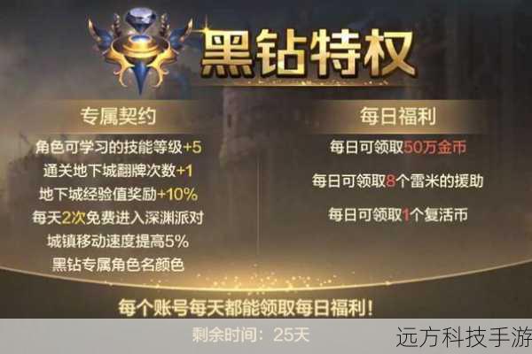 探索DNF手游黑钻特权，揭秘其价值与明智选择策略