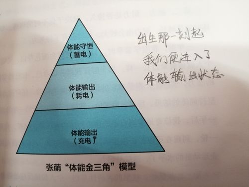 答:组装的难度因人而异,对于有一定模型组装经验的人来说可能相对容易,但对于新手来说可能会有一些挑战,只要仔细阅读说明书,耐心操作,一般都能顺利完成组装。
