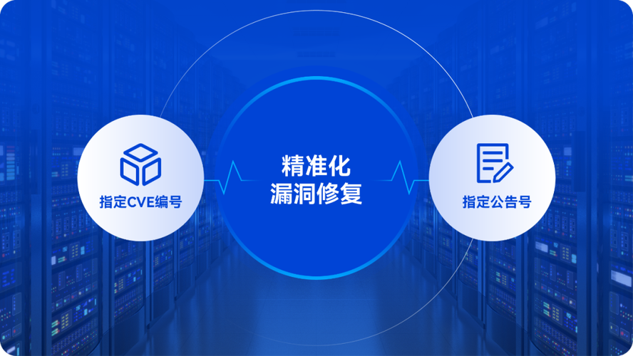 定期更新：保持软件和操作系统更新至最新版本，以修复潜在的安全漏洞。