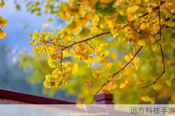 山川之歌，摄苑网重庆摄影俱乐部登山采风精彩瞬间
