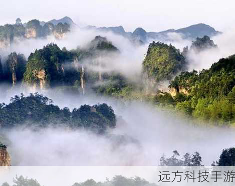 随着海拔的逐渐升高，眼前的景色也愈发壮观，远处，群山连绵，云雾缭绕，宛如一幅淡雅的水墨画；近处，树叶在秋风的吹拂下，或金黄、或火红，色彩斑斓，美不胜收，影友们纷纷停下脚步，或蹲下身子，或攀上岩石，寻找着最佳的拍摄角度，快门声此起彼伏，每一次按下都是对自然之美的致敬与记录。