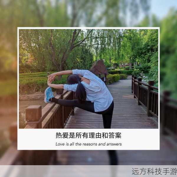 拍照功能:记录生活,定格美好