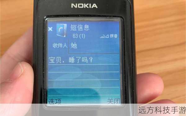 回答:诺基亚X1-00作为一款功能型手机,主要侧重于通话、短信和音乐播放等基本功能,它并不支持传统的网络浏览功能,如上网浏览网页、观看视频等,但考虑到其超长的待机时间和出色的音乐表现,以及极高的性价比,这些限制对于追求实用性的用户来说,或许并不是太大的问题。