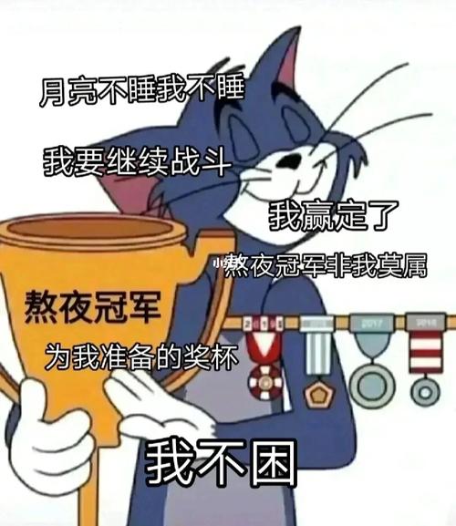 熬夜冠军:夜深人静时,我与星辰为伴,熬夜我最行。