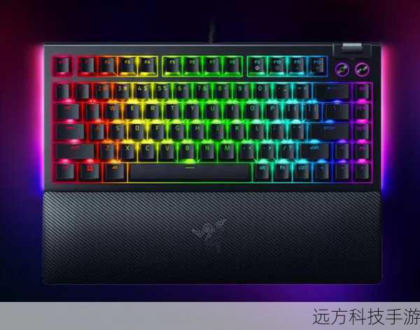 雷蛇键盘以其独特的设计和功能而受到众多玩家的关注,它通常具备快速响应的按键、自定义宏编程等特点,这些特性使得玩家在游戏中能够更加迅速、精准地操作,比如更快地射击、更灵活地移动等,对于那些追求极致游戏体验和竞技成绩的玩家来说,雷蛇键盘无疑提供了一种提升自己表现的途径。