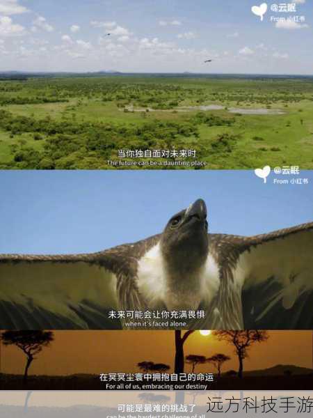 问:为什么《意航员 2》纪录片最后一集时隔一年多才发布?