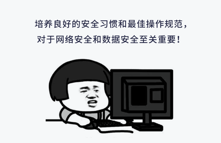 谨慎操作:避免安装来源不明或有高风险评分的插件,以免损害设备安全。