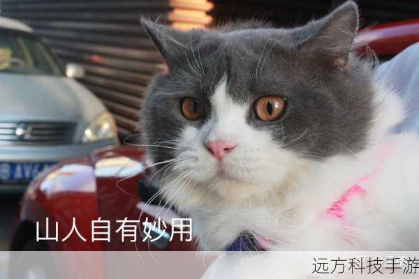 在这个世界里,猫咪们可能会拥有各种超能力,或是能够实现一些看似不可能的梦想,也许一只小猫渴望飞翔,于是它长出了翅膀,在天空中自由翱翔;也许另一只猫希望有一个巨大的毛线球,结果毛线球变得比房子还大,这些充满创意的设定,让我们仿佛置身于一个梦幻般的童话世界。